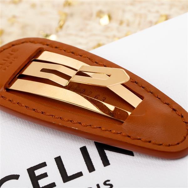 2024210155817851 100